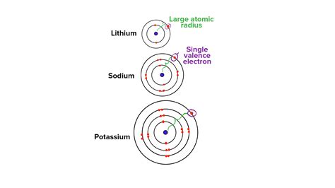 how many valence electrons do all alkali metals have|10.6: Valence Electrons .